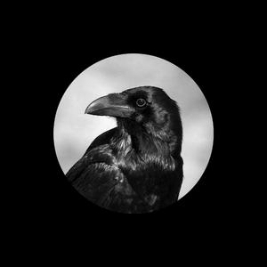 我要看美女窝尿操逼
