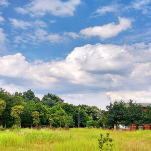 我要看美女窝尿操逼
