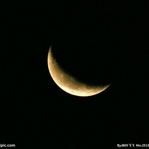 我要看美女窝尿操逼
